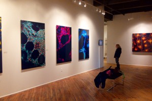 Awakening at Toronto's Image Works Gallery