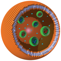 The world's first working cell made from plastic. Source: Wiley