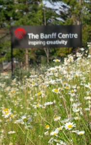 Photo: Lisa Willemse