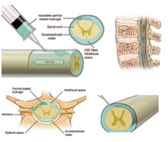 Photo courtesy of Shoichet lab, University of Toronto
