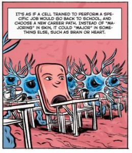 Courtesy of eurostemcell.org