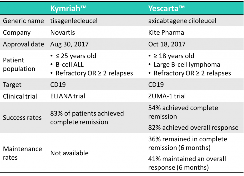 Explaining the hype CAR T cells Signals Blog