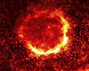 Craig Aarts. Hot Stem CellsSMALL Craig Aarts. Hot Stem CellsSMALL