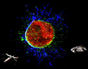 Death_Sphere_Head_Clarke