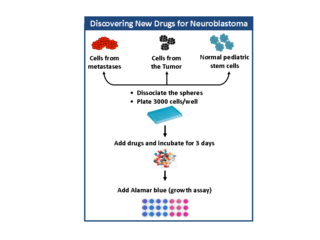 Kaplan Figure for SCN blog Kaplan Figure for SCN blog